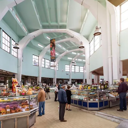 Stupendo- Two Rooms, Patio With Refreshing Pond-center-air Conditioning