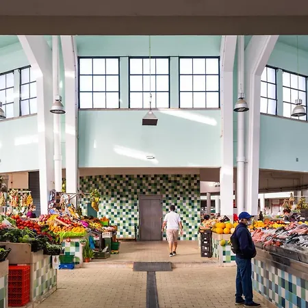 Stupendo- Two Rooms, Patio With Refreshing Pond-center-air Conditioning *